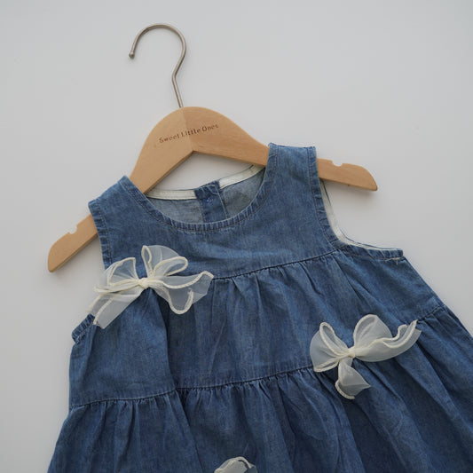 Mesh Ribbon Denim Dress