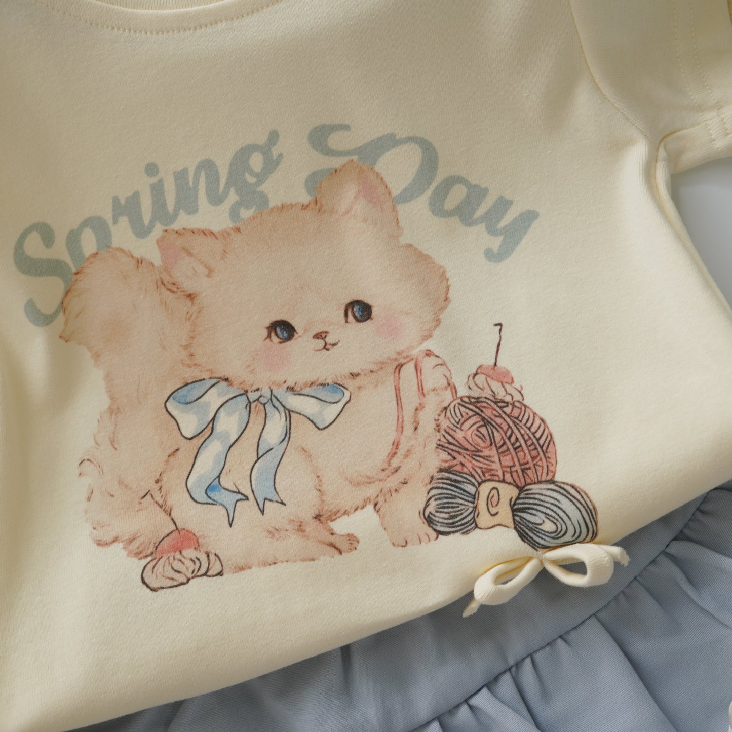 Kitten Ribbon Top & Baby Blue Layer Skirt Set