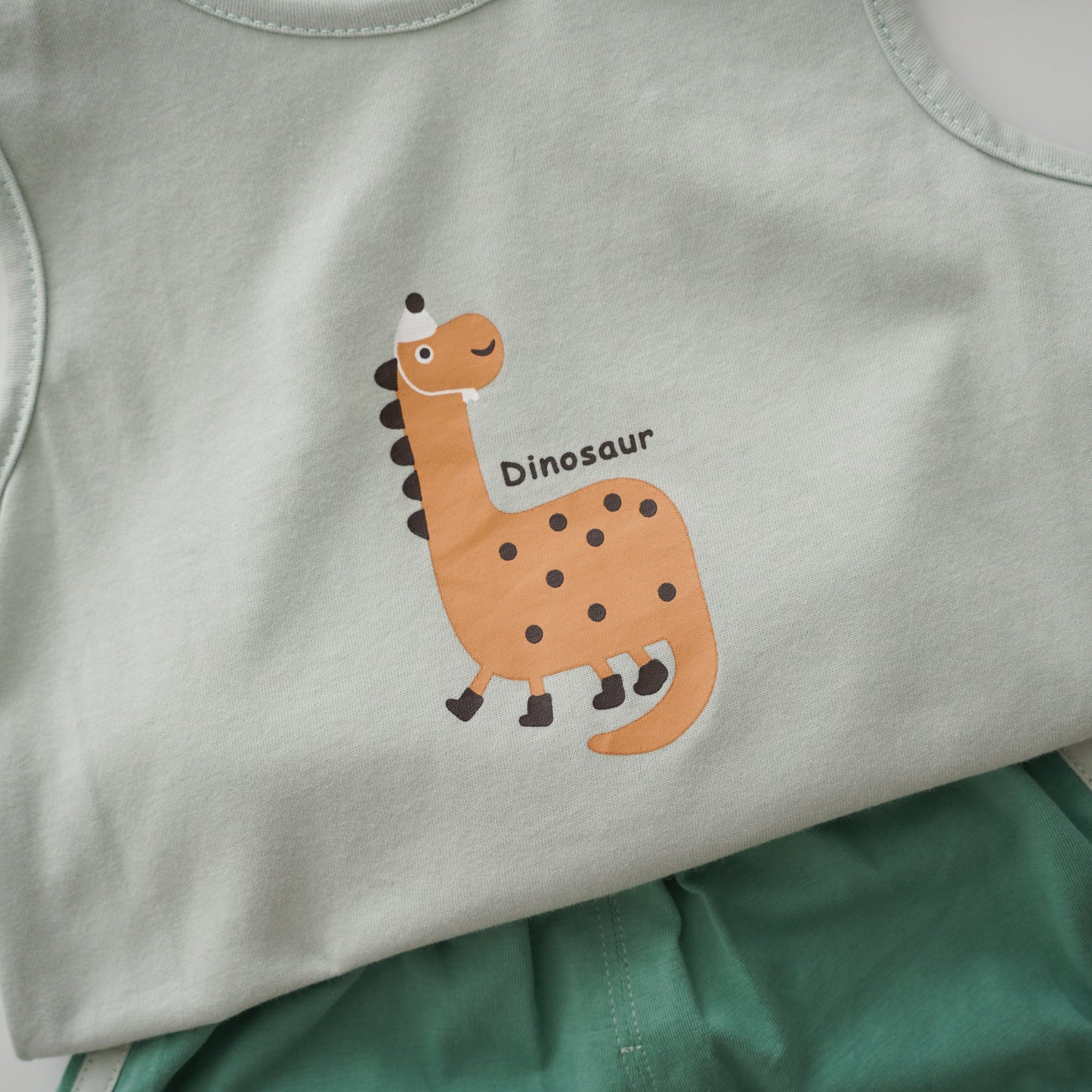 Birthday Dino Two Pieces Set