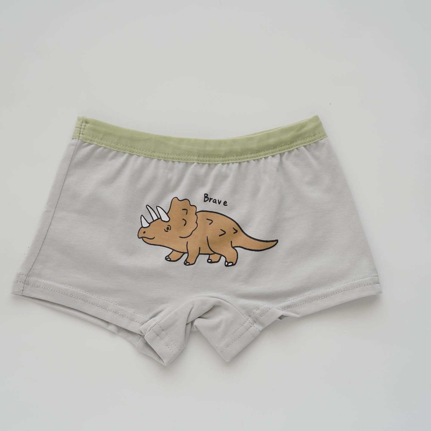 Baby Boy Boxer - Dino (4 Pieces Set)