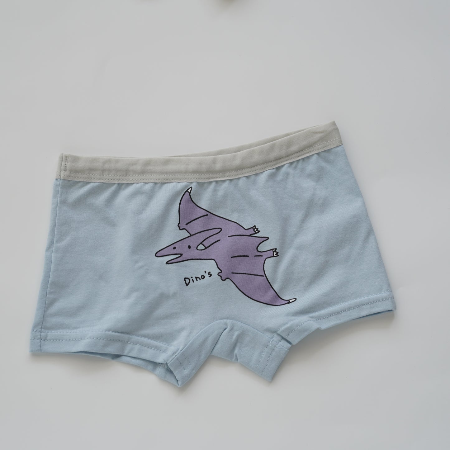 Baby Boy Boxer - Dino (4 Pieces Set)