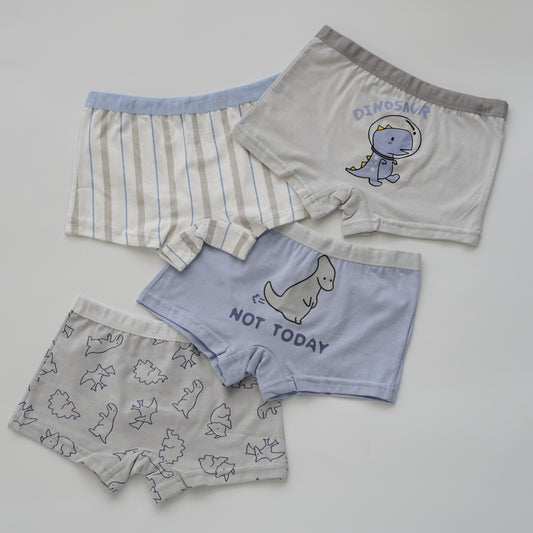 Baby Boy Boxer - Airspace Dino (4 Pieces Set)
