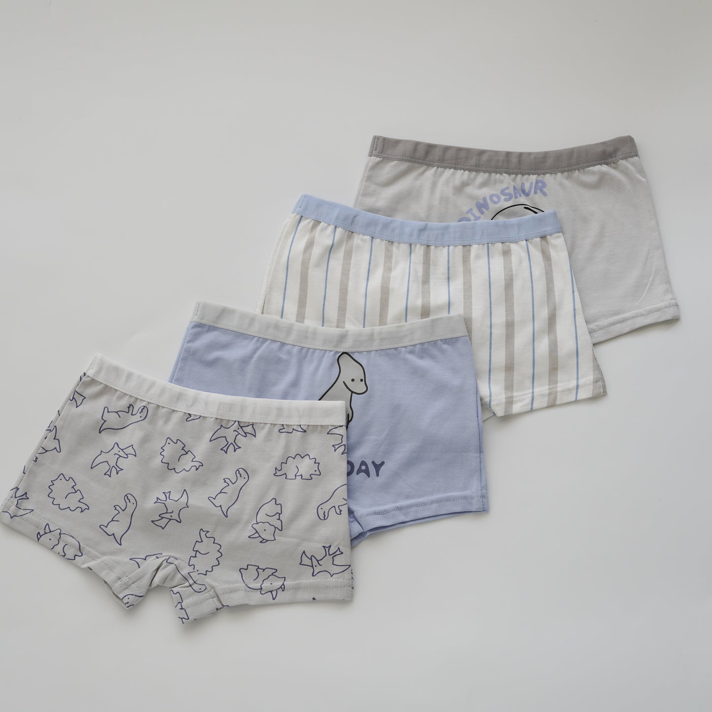Baby Boy Boxer - Airspace Dino (4 Pieces Set)