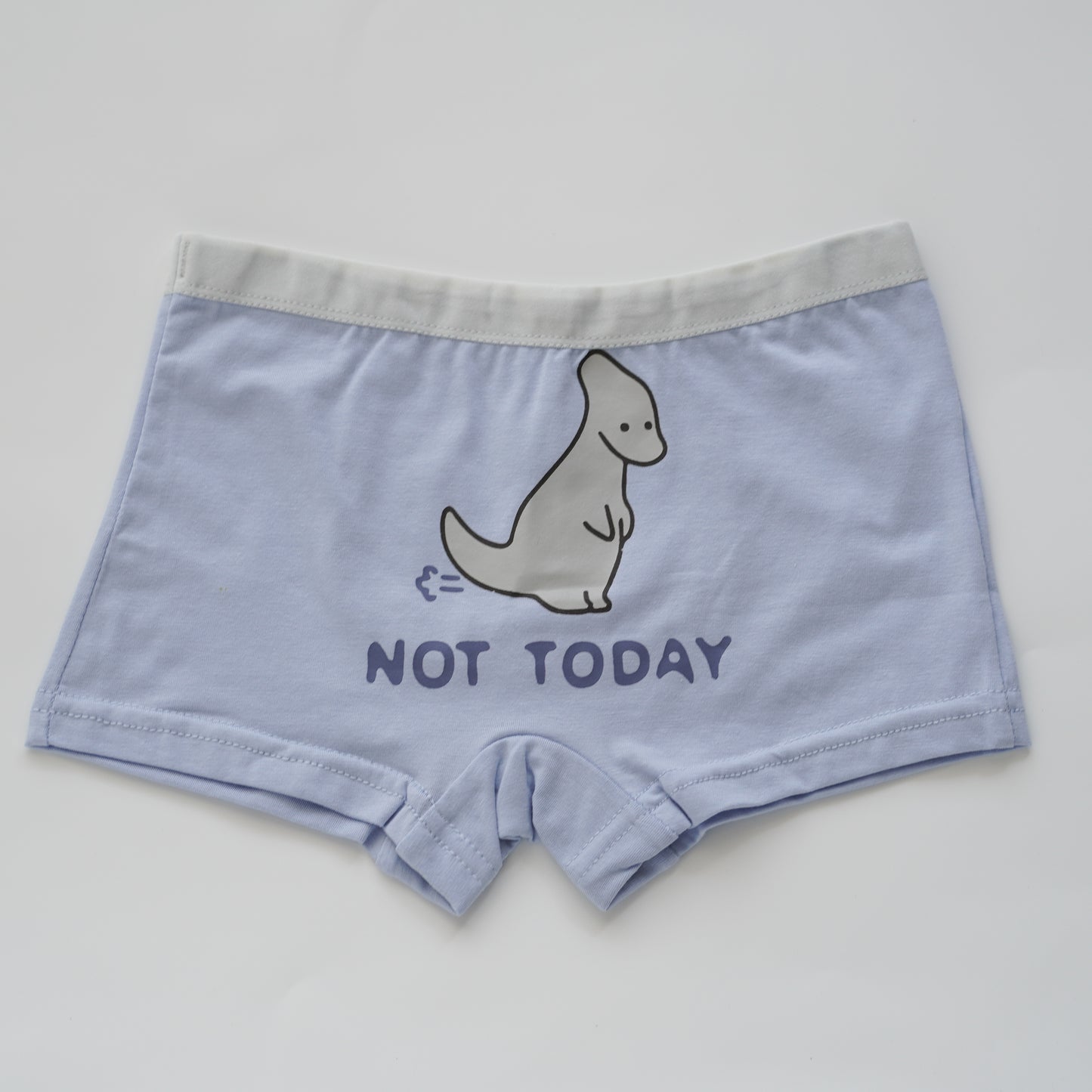 Baby Boy Boxer - Airspace Dino (4 Pieces Set)