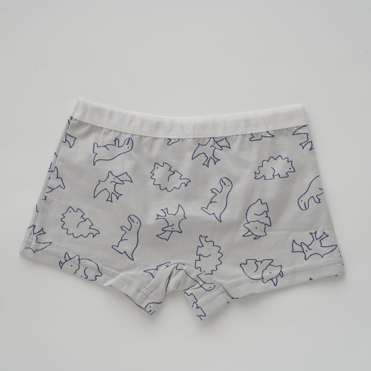 Baby Boy Boxer - Airspace Dino (4 Pieces Set)