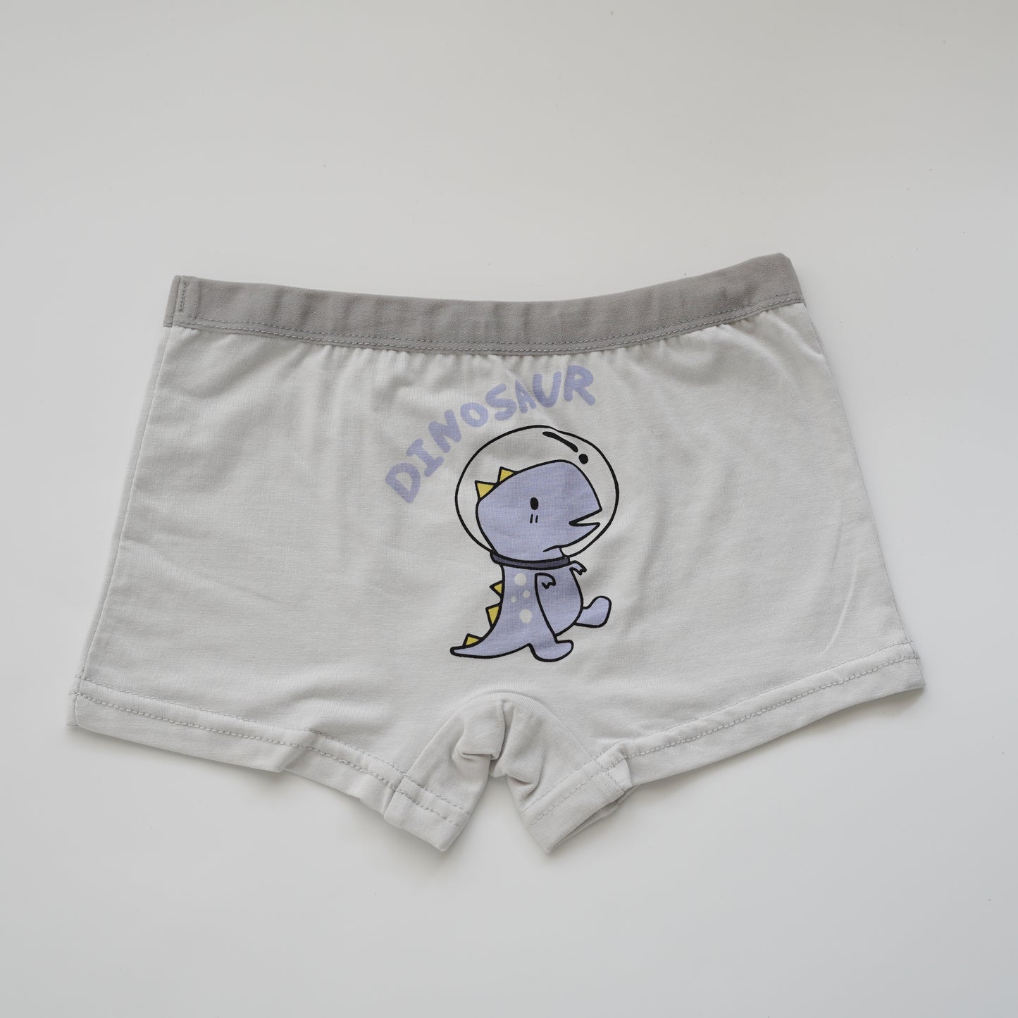 Baby Boy Boxer - Airspace Dino (4 Pieces Set)