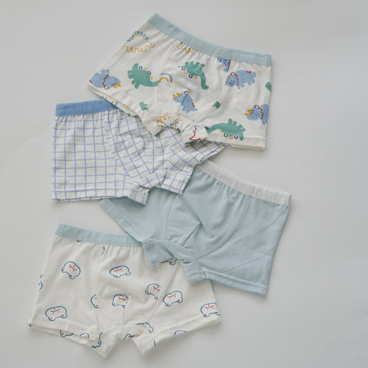 Baby Boy Boxer - Pick Me (4 Pieces Set)
