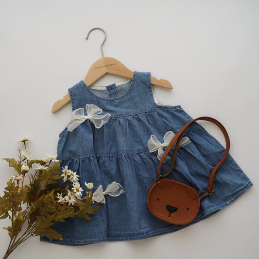 Mesh Ribbon Denim Dress