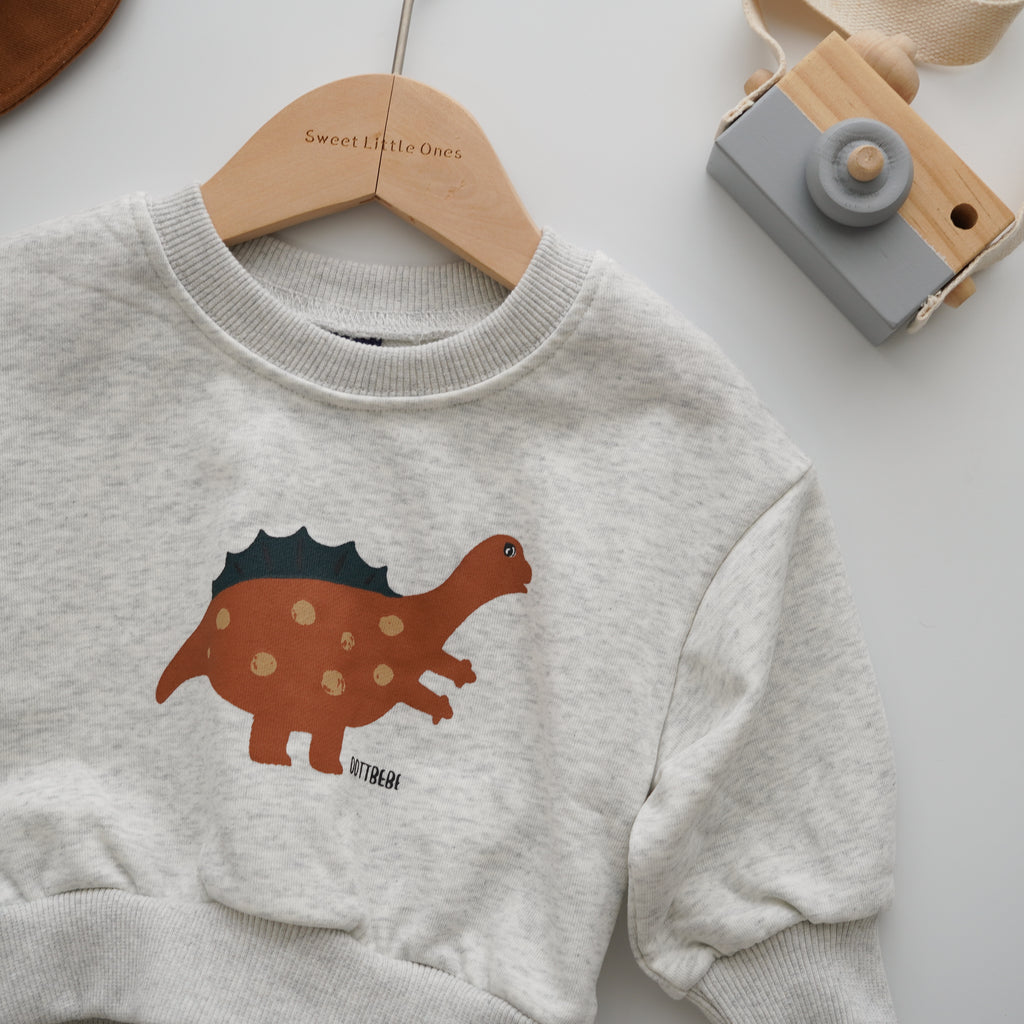 Dino Sweater (Size 70)