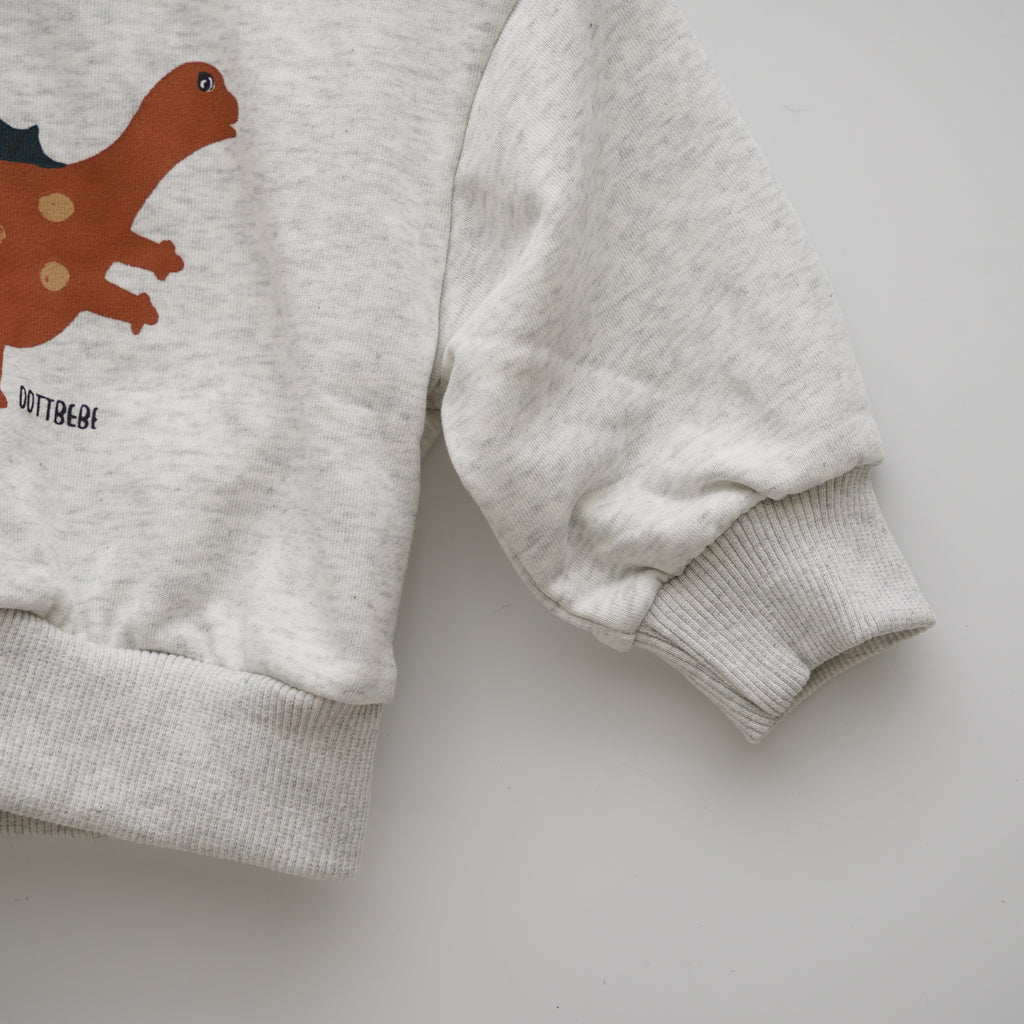 Dino Sweater (Size 70)