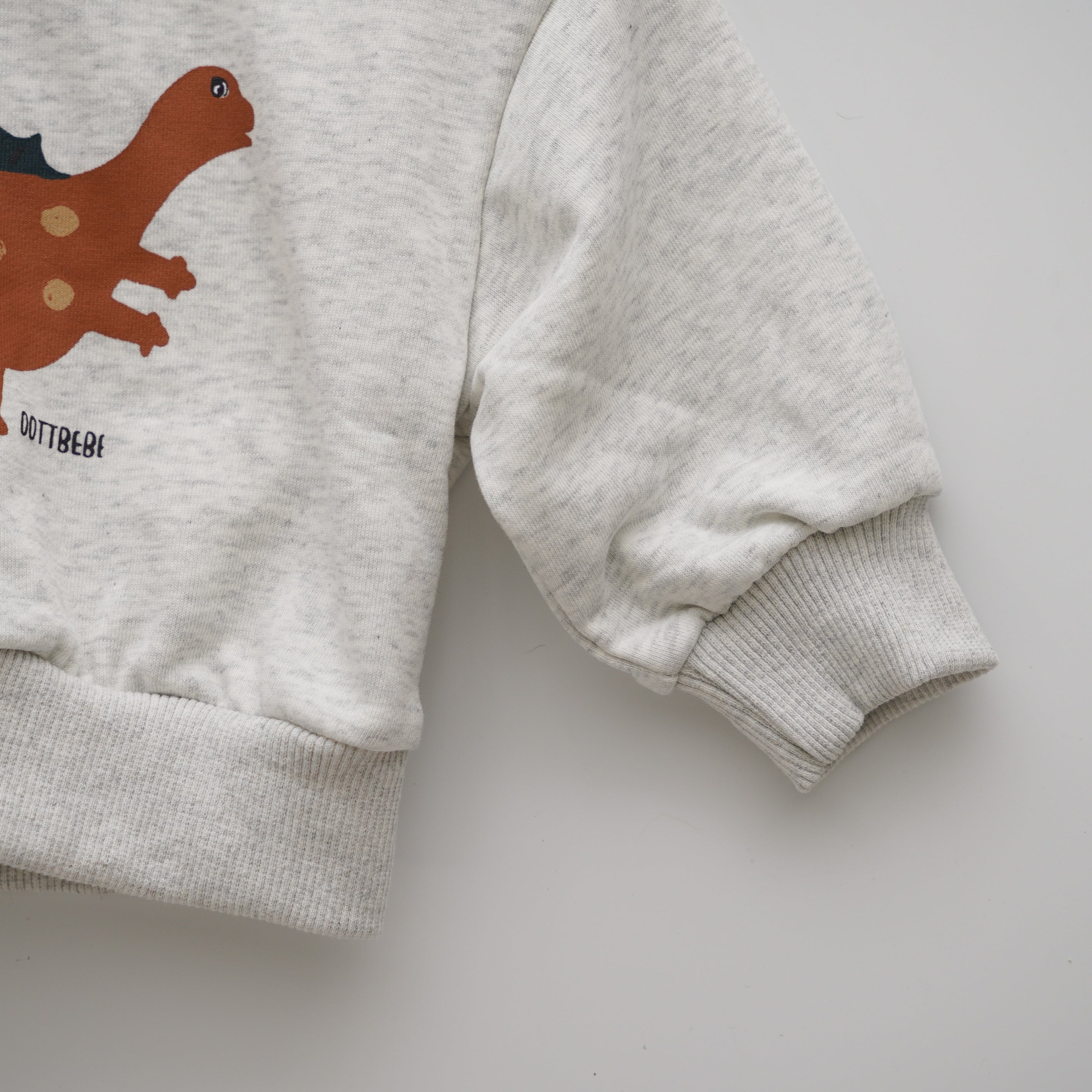 Dino Sweater (Size 70)