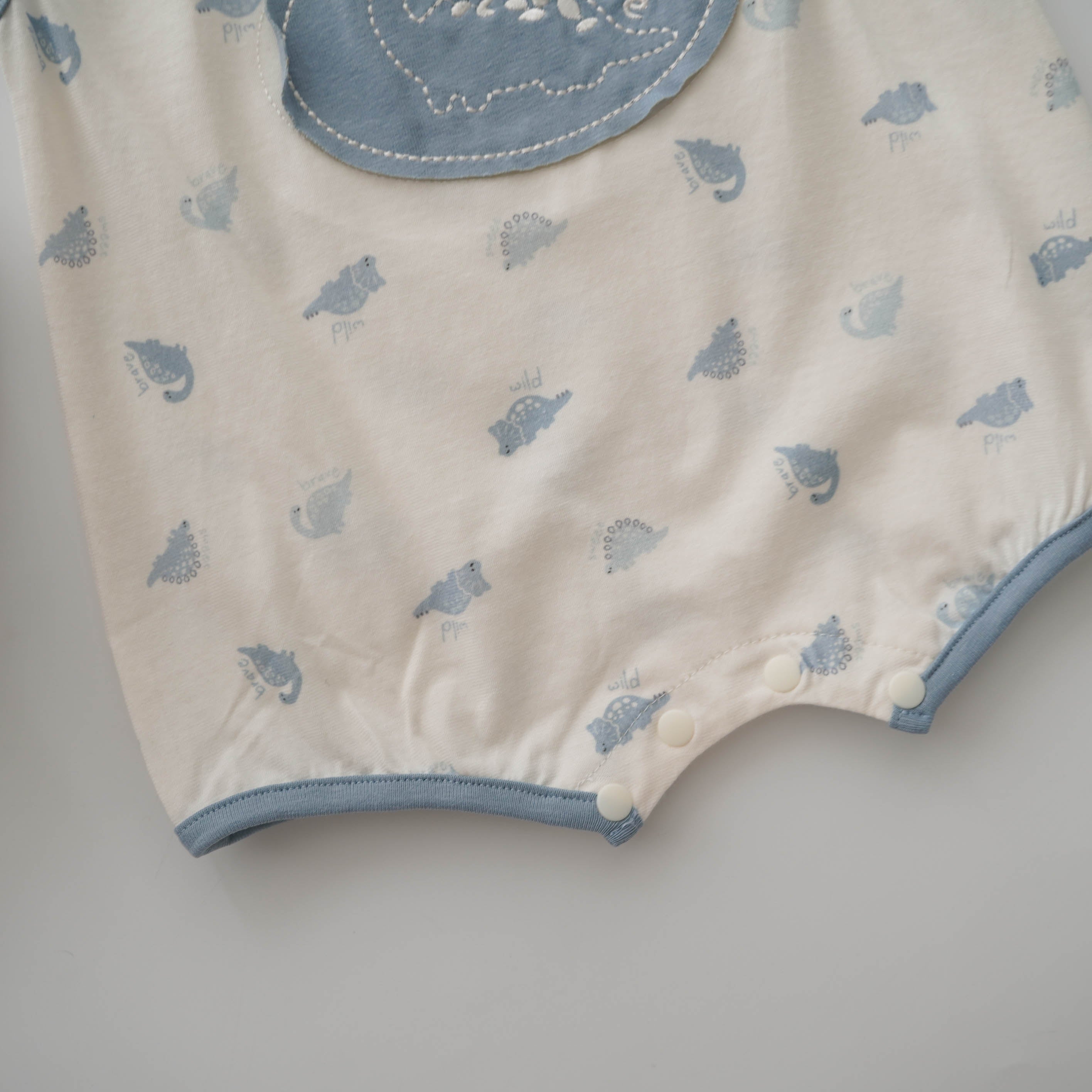 Dinosor Simple Overall