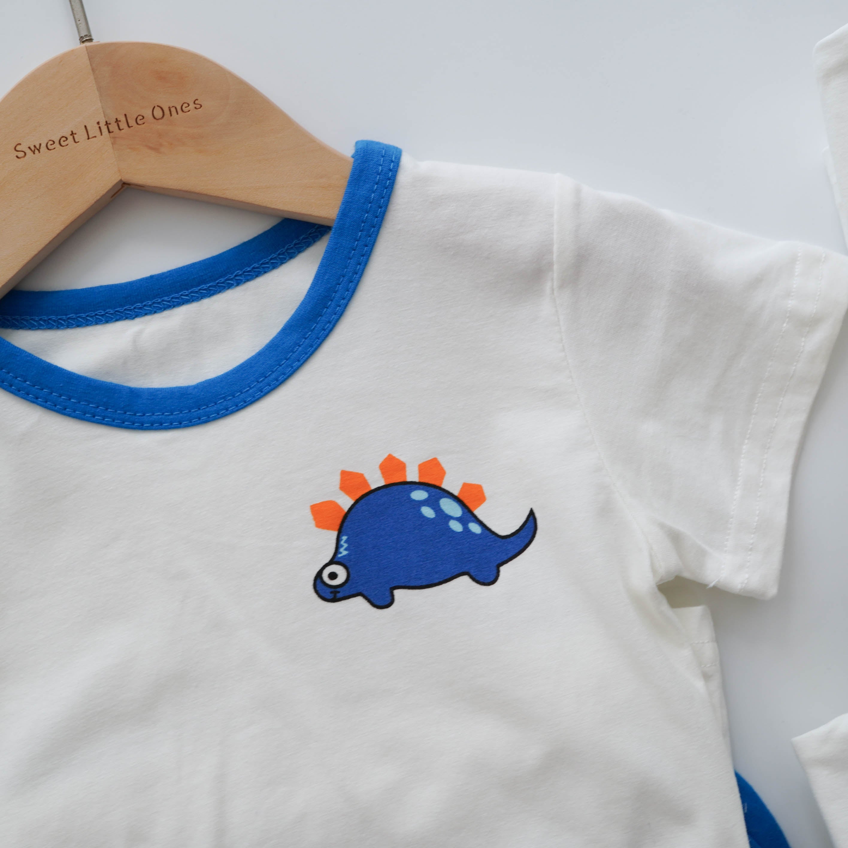 Dinosaur Casual Two Pieces Set
