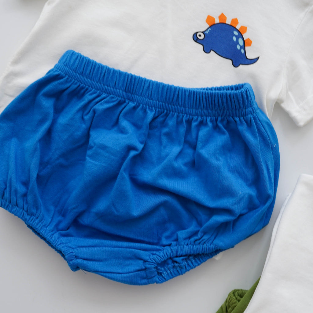 Dinosaur Casual Two Pieces Set