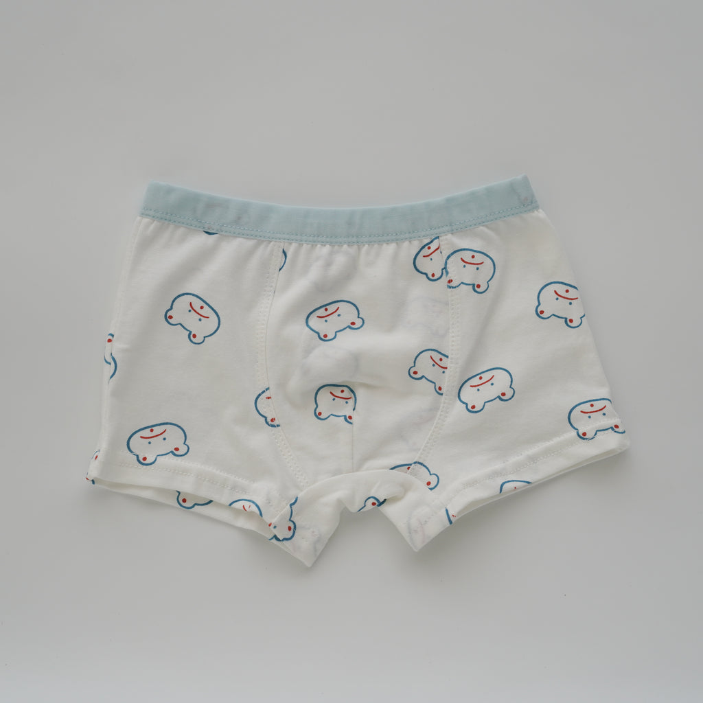 Baby Boy Boxer - Pick Me (4 Pieces Set)