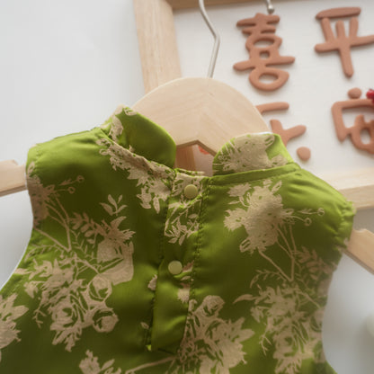 Traditional Vintage Green Cheongsam